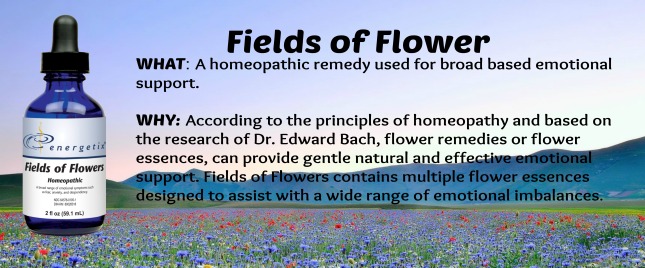 field of flower6